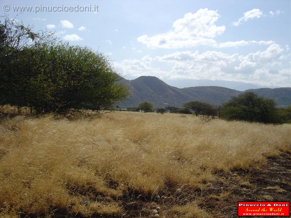 Ethiopia - Netch Sar Park - 07 - Erba bianca.jpg